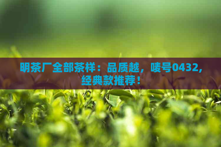 明茶厂全部茶样：品质越，唛号0432,经典款推荐！