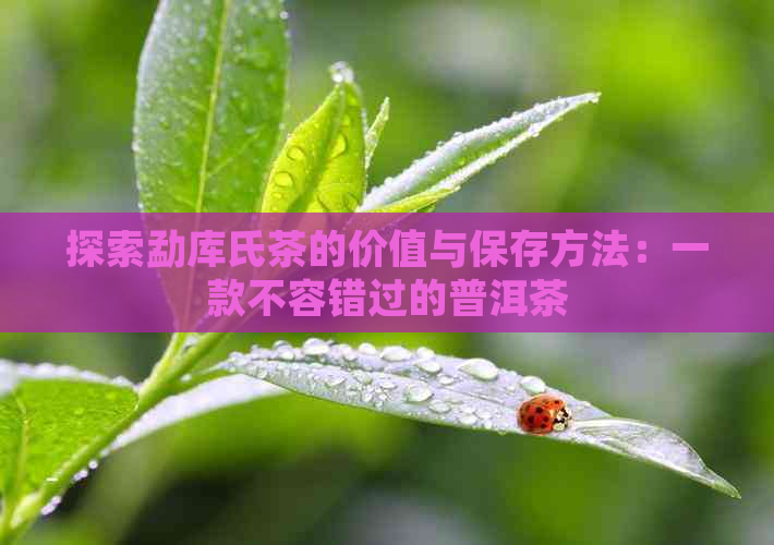 探索勐库氏茶的价值与保存方法：一款不容错过的普洱茶