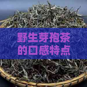 野生芽孢茶的口感特点和价值