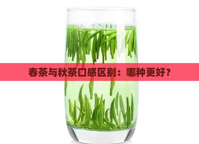 春茶与秋茶口感区别：哪种更好？