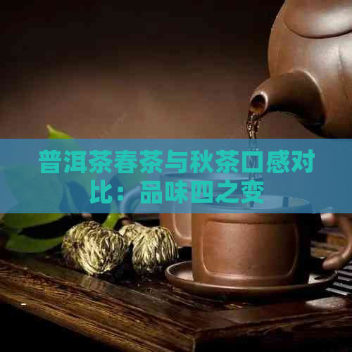 普洱茶春茶与秋茶口感对比：品味四之变