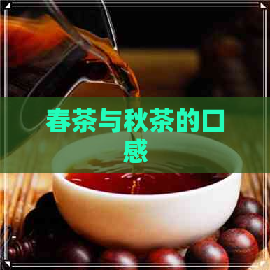 春茶与秋茶的口感