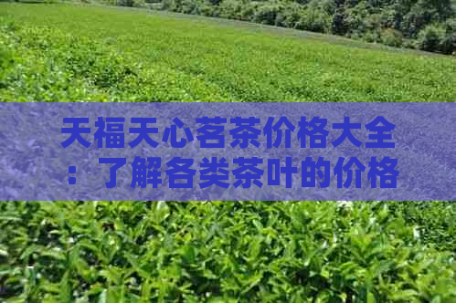 天福天心茗茶价格大全：了解各类茶叶的价格及购买建议