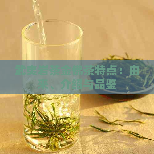 武夷岩茶金佛茶特点：由来、介绍与品鉴