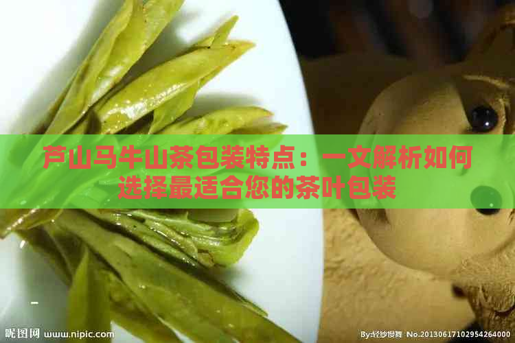 芦山马牛山茶包装特点：一文解析如何选择最适合您的茶叶包装