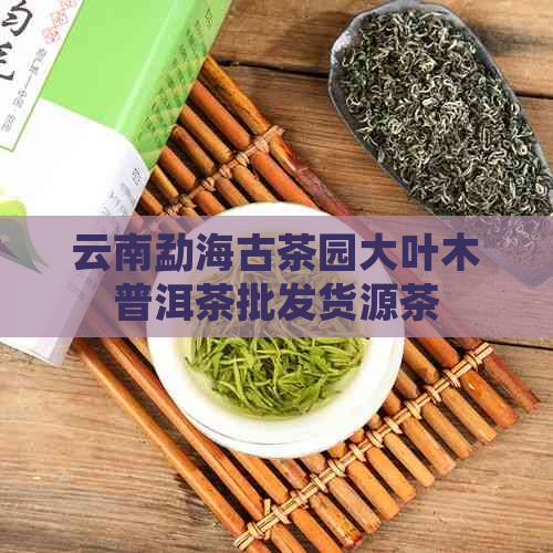 云南勐海古茶园大叶木普洱茶批发货源茶