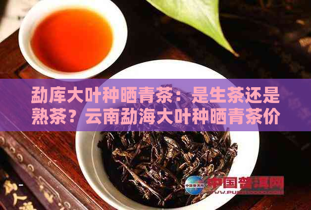 勐库大叶种晒青茶：是生茶还是熟茶？云南勐海大叶种晒青茶价格