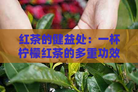 红茶的健益处：一杯柠檬红茶的多重功效解析