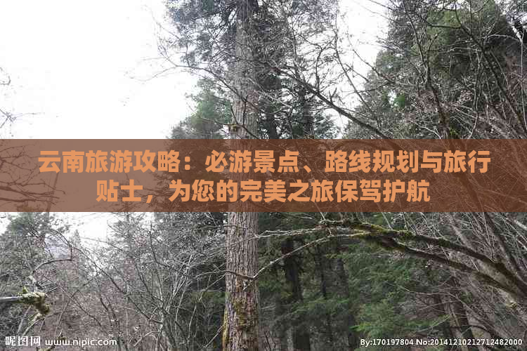 云南旅游攻略：必游景点、路线规划与旅行贴士，为您的完美之旅保驾护航